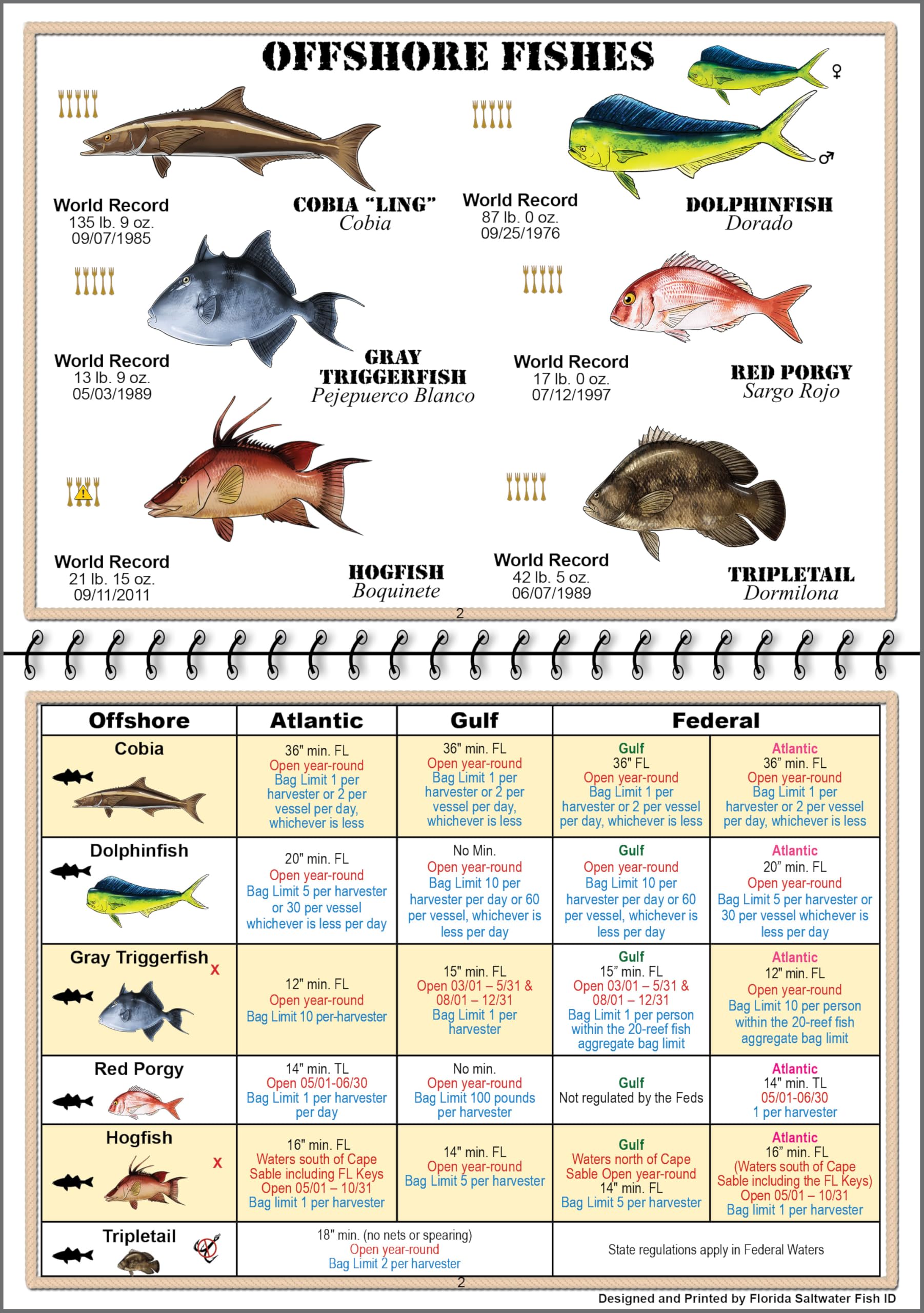 Cover of Florida Saltwater Fish Identification Book with FWC rules