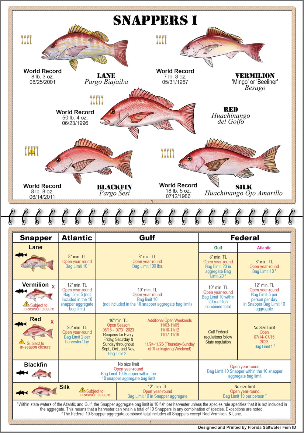 Inside page showing a saltwater fish photograph in the Florida guide