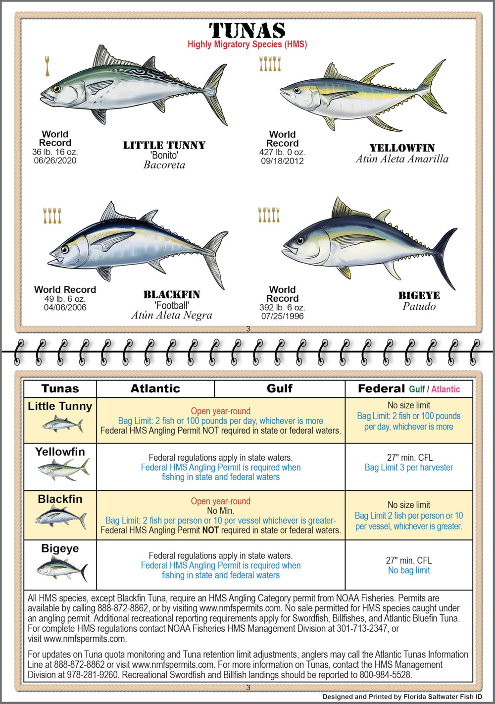 Inside page with multiple Florida saltwater fish photographs