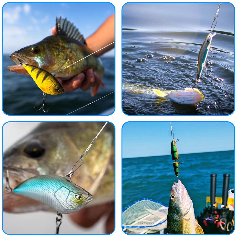 Versatile species targets include bass, catfish, trout, crappie and more