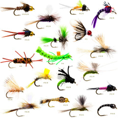 36-piece fly fishing flies assortment including dry, wet, and nymph patterns
