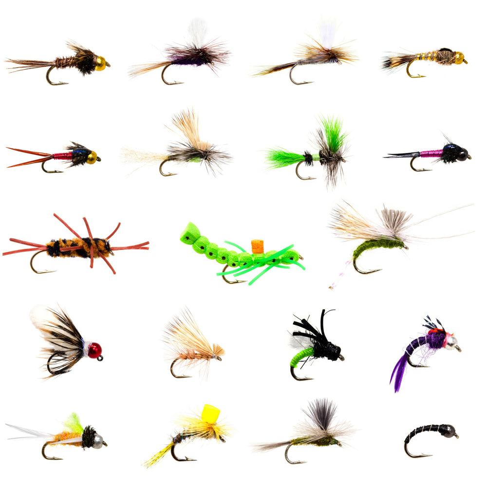 Dry flies from the 36-piece assortment for trout fishing