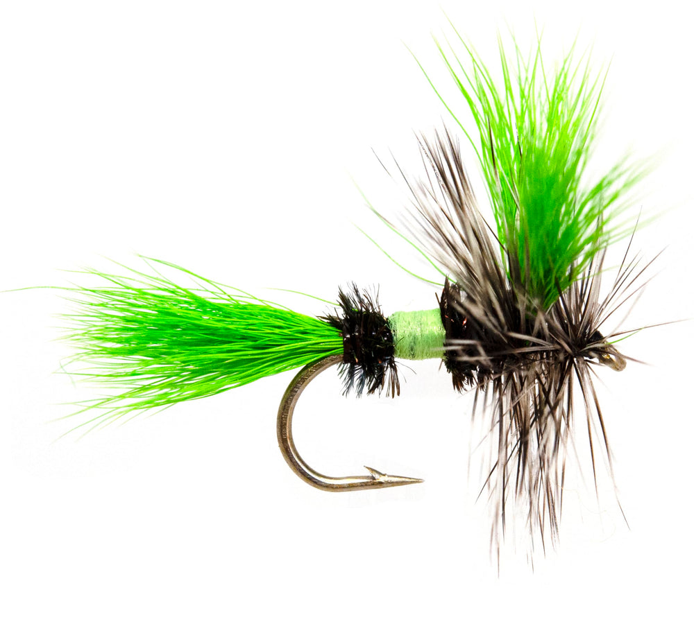 Wet flies included for versatile trout river and lake fishing