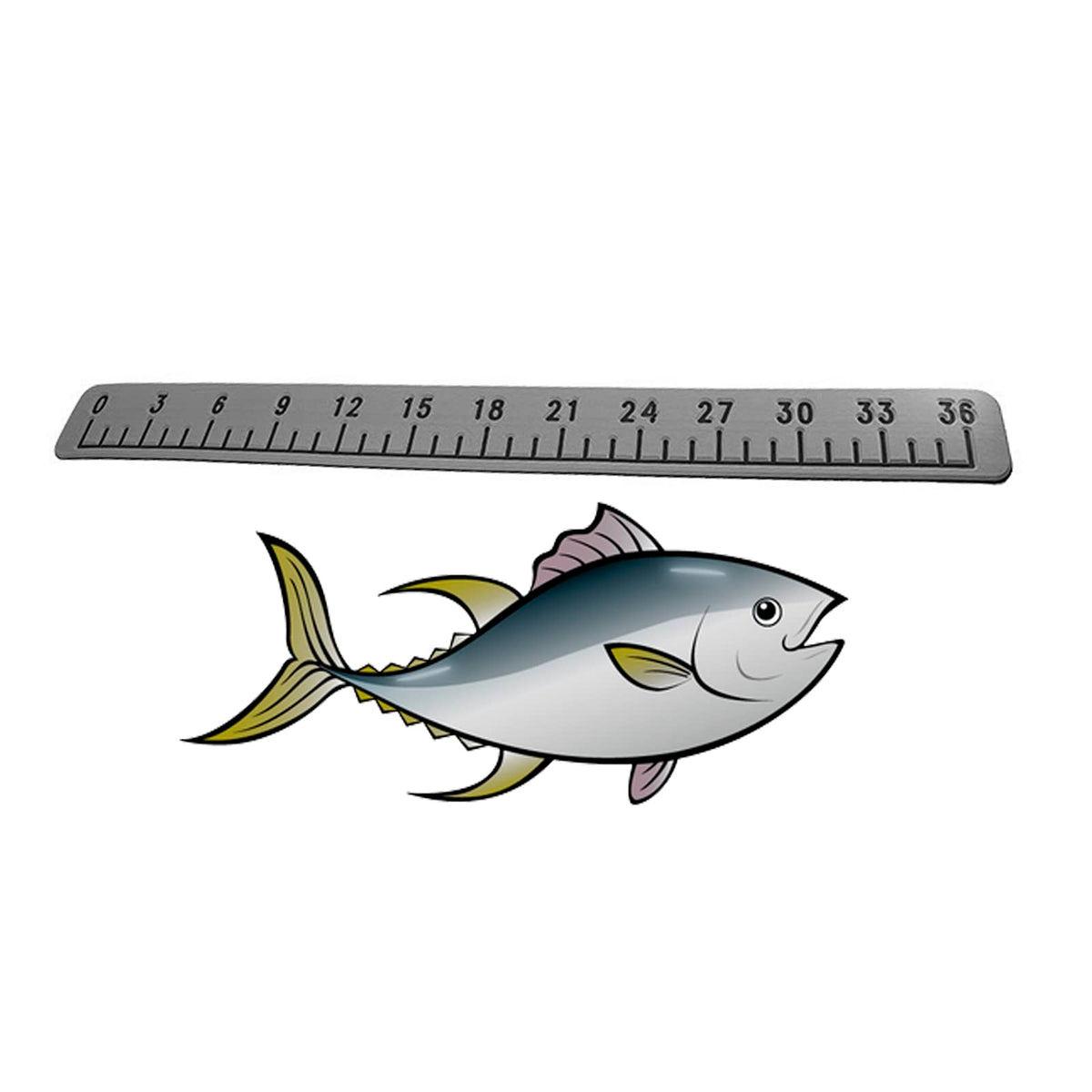 Foam fishing ruler 36 inches with 3M adhesive backing