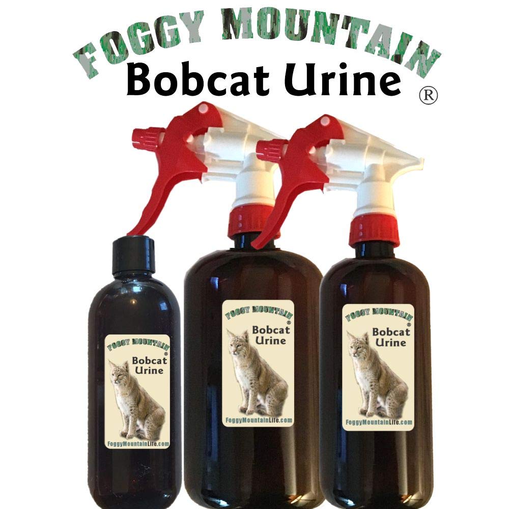 Foggy Mountain Bobcat Urine being sprayed outdoors to influence wildlife.