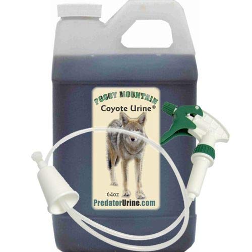 Foggy Mountain Coyote Urine 64oz bottle with sprayer for outdoor predator management.
