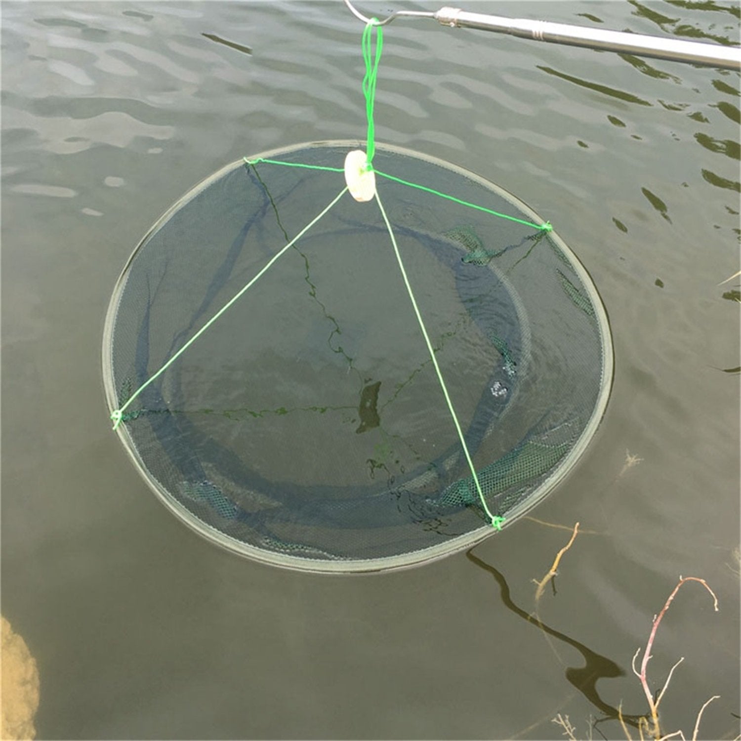 Catches fish, crabs, lobsters, shrimps and crawfish