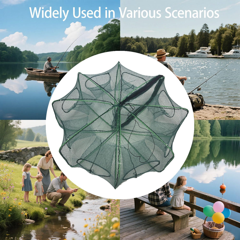 Trap placed in water catching minnows, crabs, shrimp and small fish