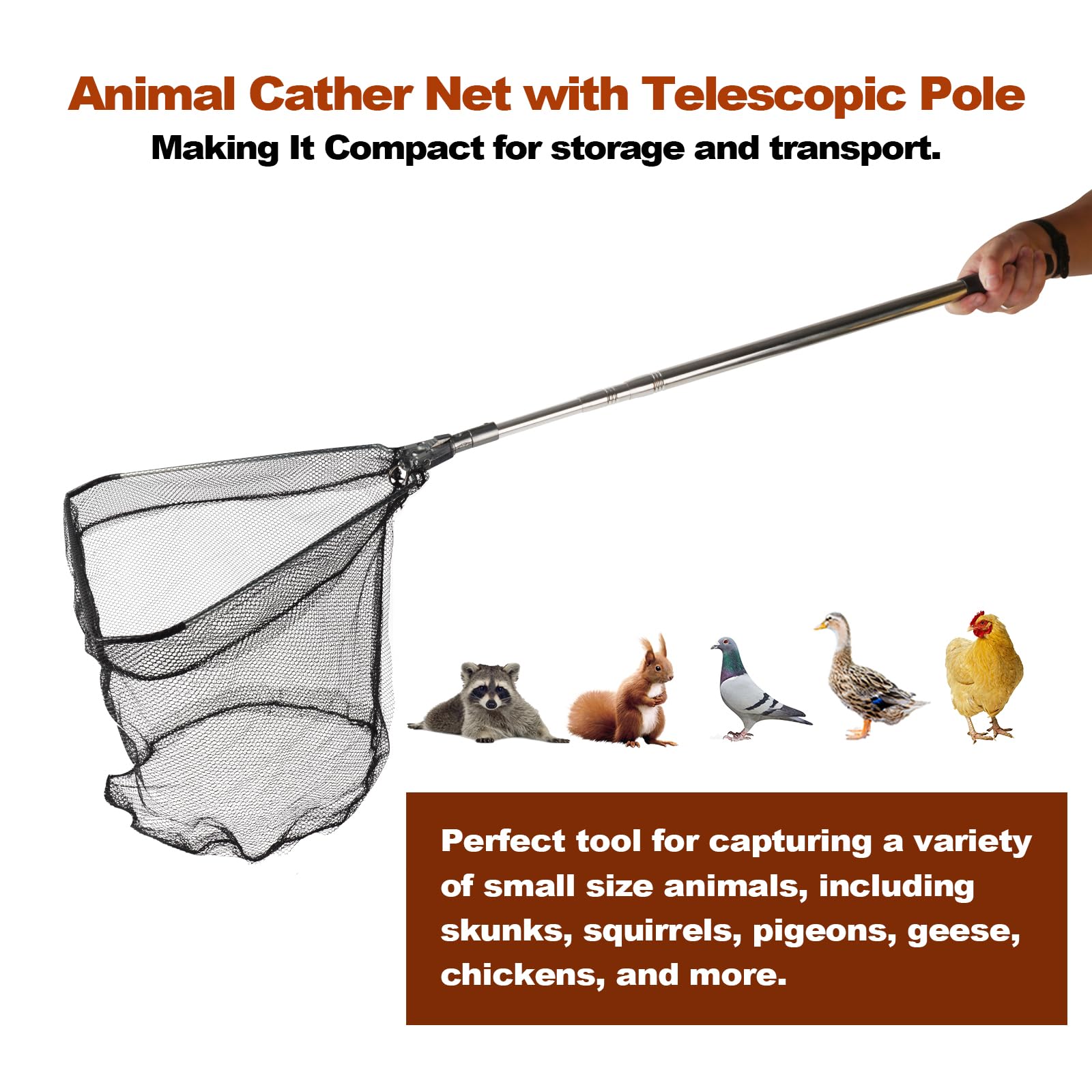 Foldable poultry net designed for compact storage