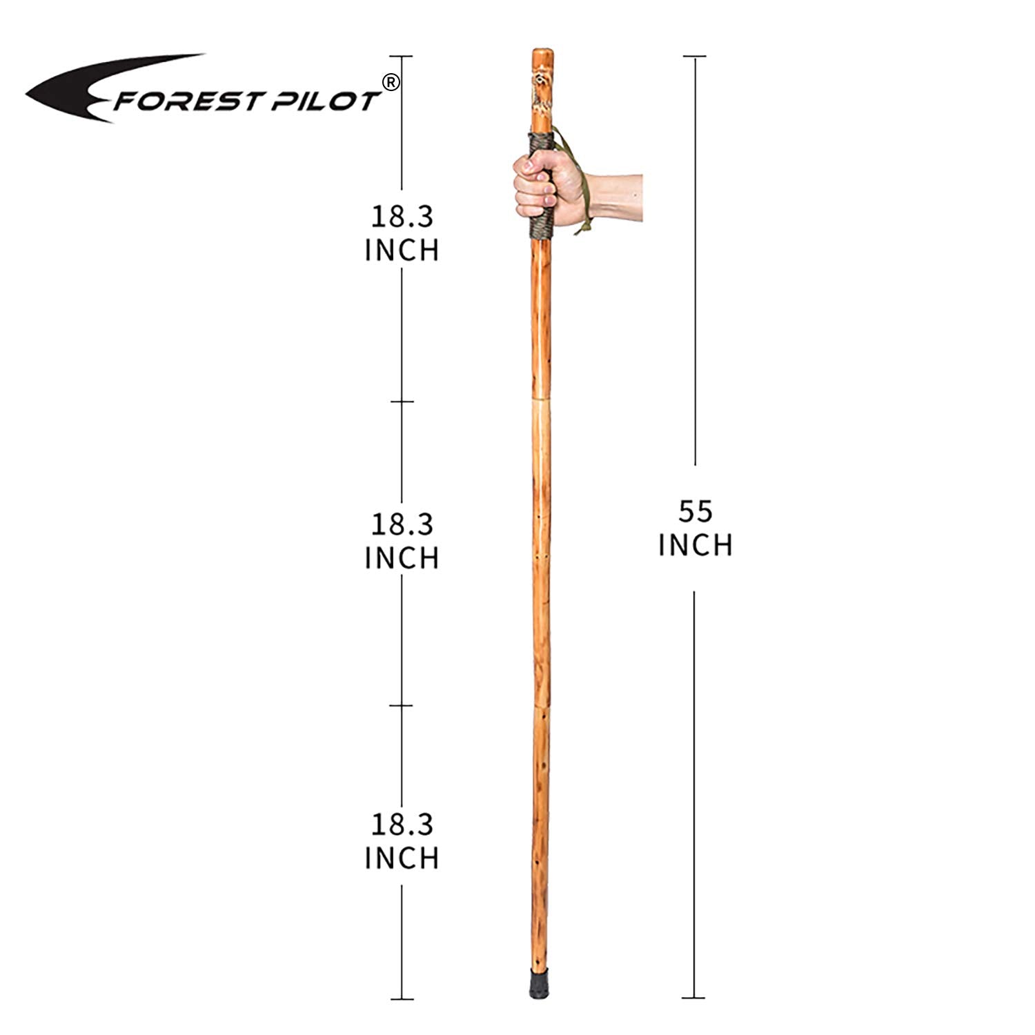 FOREST PILOT walking stick with compass detail aids navigation on trails