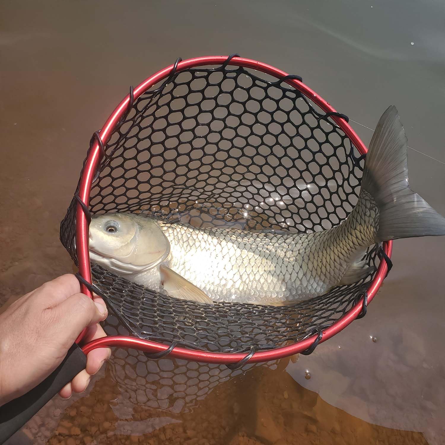Compact 20-inch FOUMESU landing net with hook for gear bag attachment