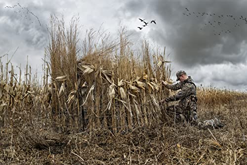 Four-hunter capacity of Avian-X G-Blind