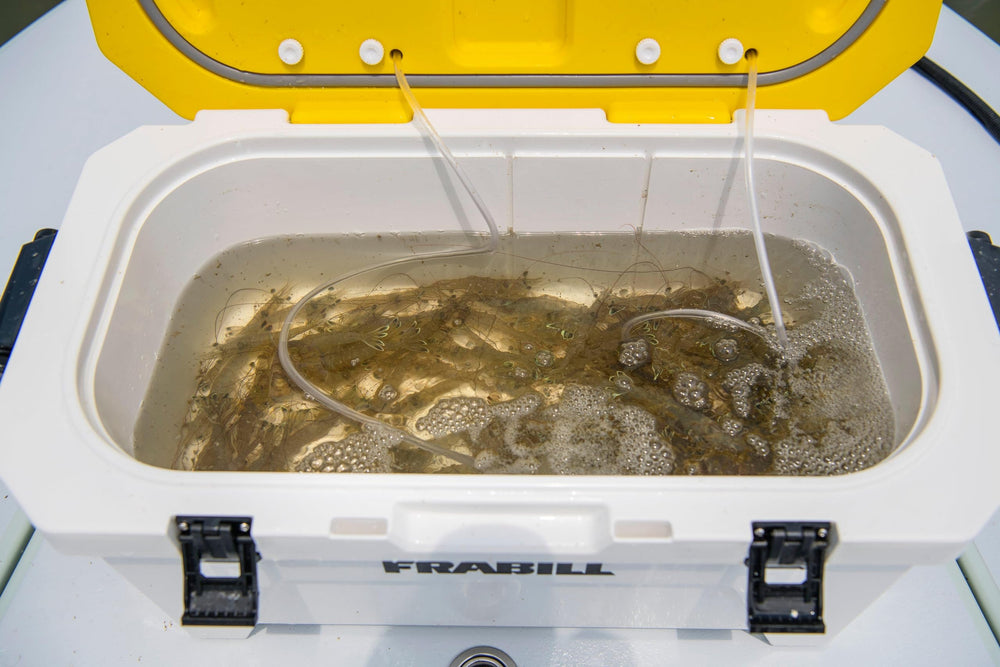 Frabill Magnum Bait Station 30 gasket seal and rust-free latches for secure closure.