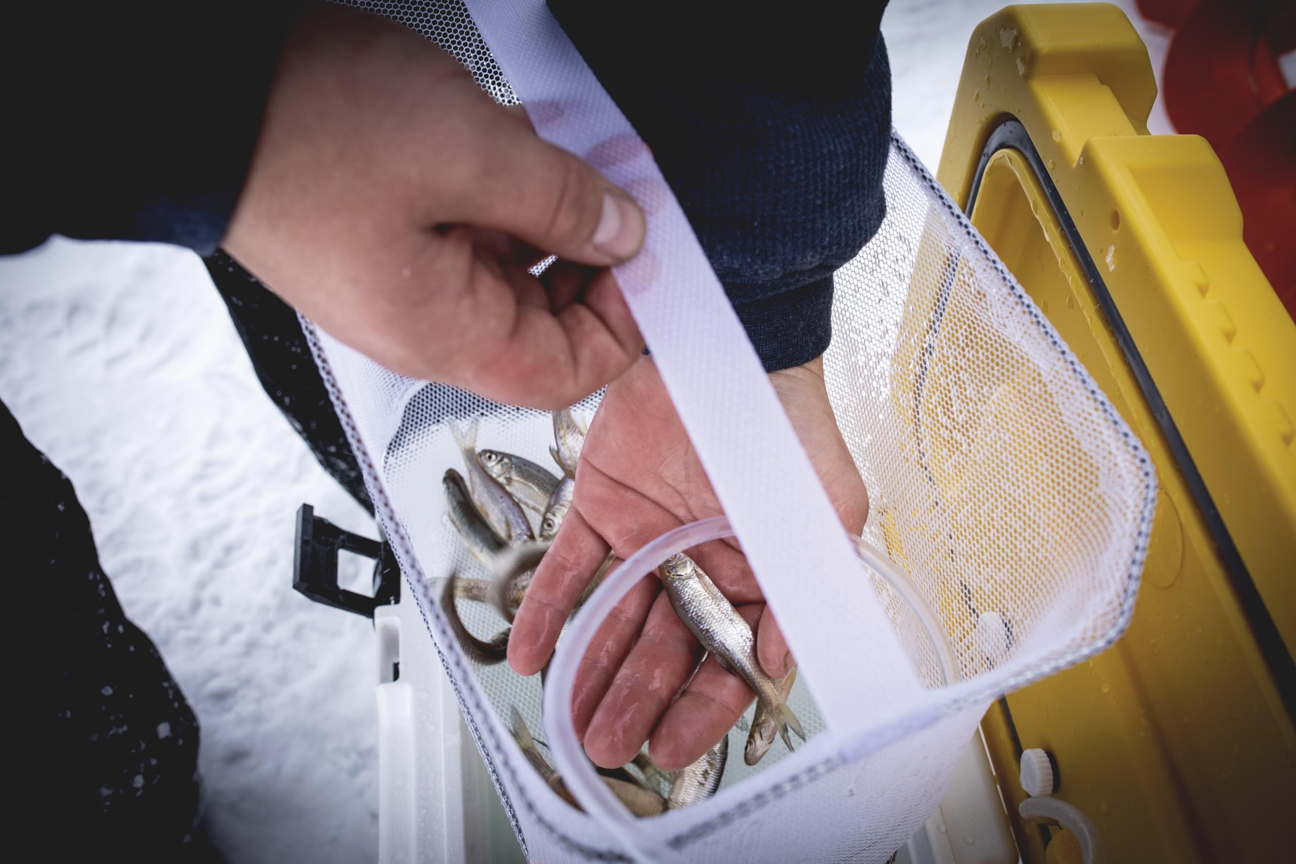 Frabill Magnum compatible with two D batteries for off-grid use