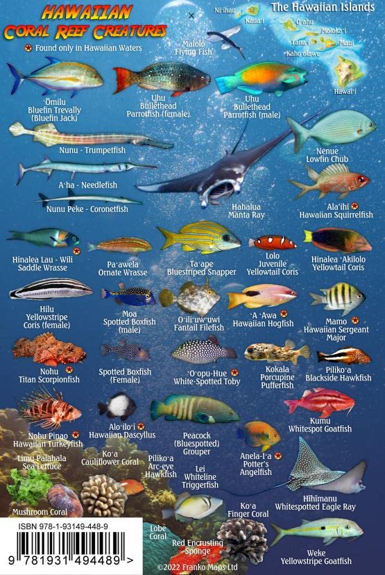 Franko Maps Mini Hawaiian Reef Creatures card back lists names for divers