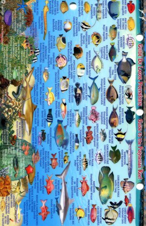 Franko's Map reef creatures identification guide clearly labels species for confident reef exploration.