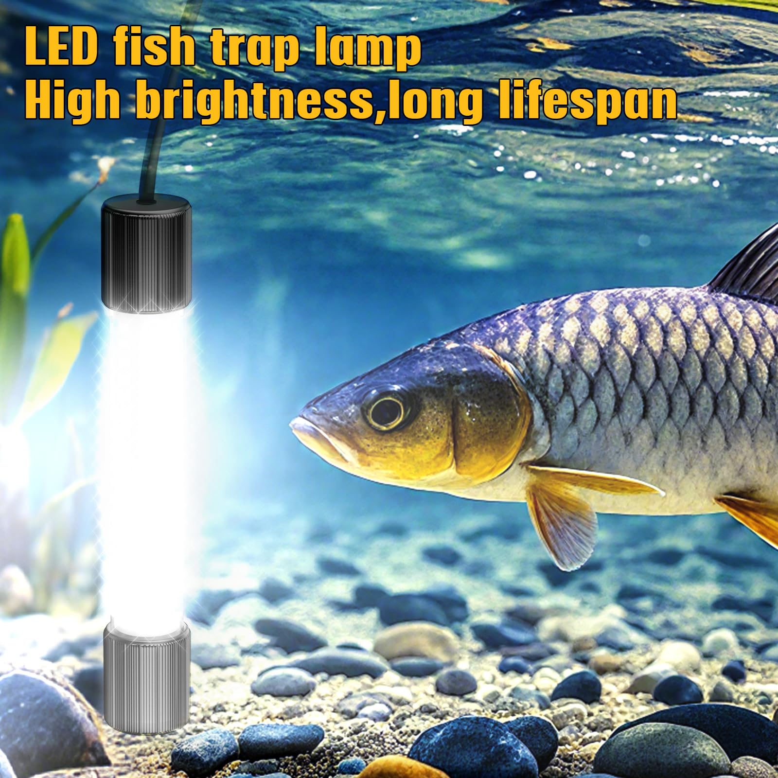 Suitable for both freshwater and saltwater environments