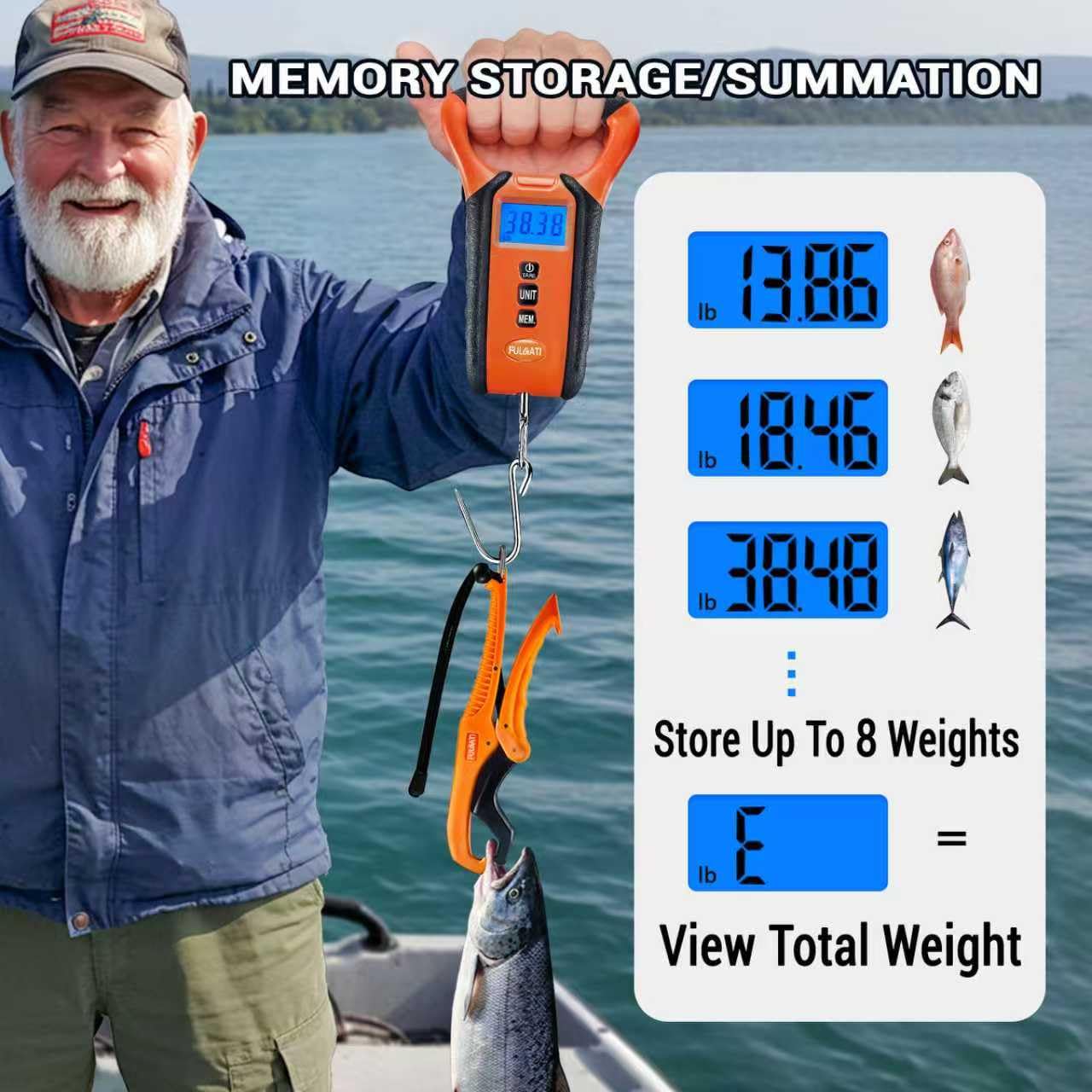 Fulgati scale display showing measurements