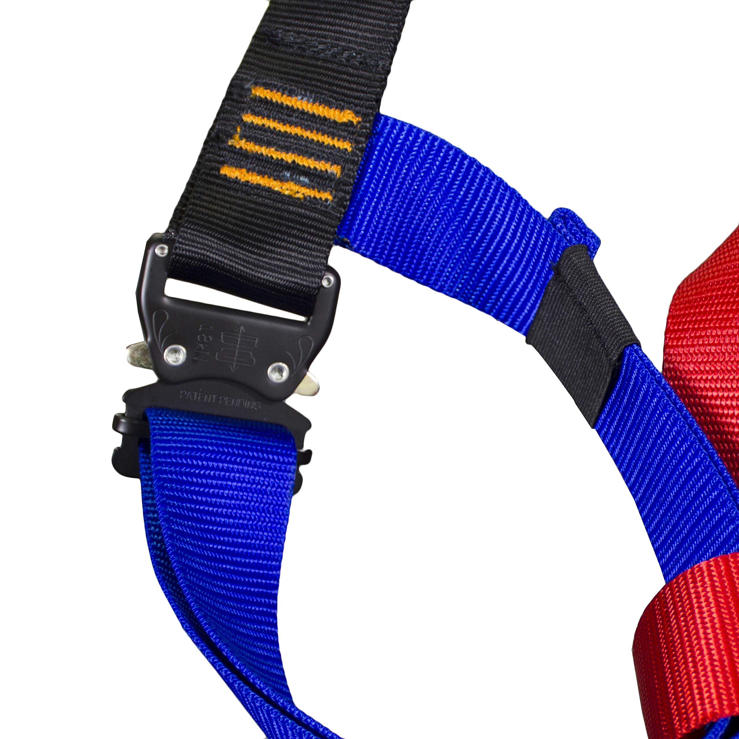 Fusion Concerto dual-color legs aid left-right differentiation during training.