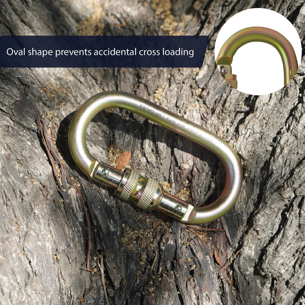 Fusion Climb Ovatti carabiner used in rappelling with reliable retention.