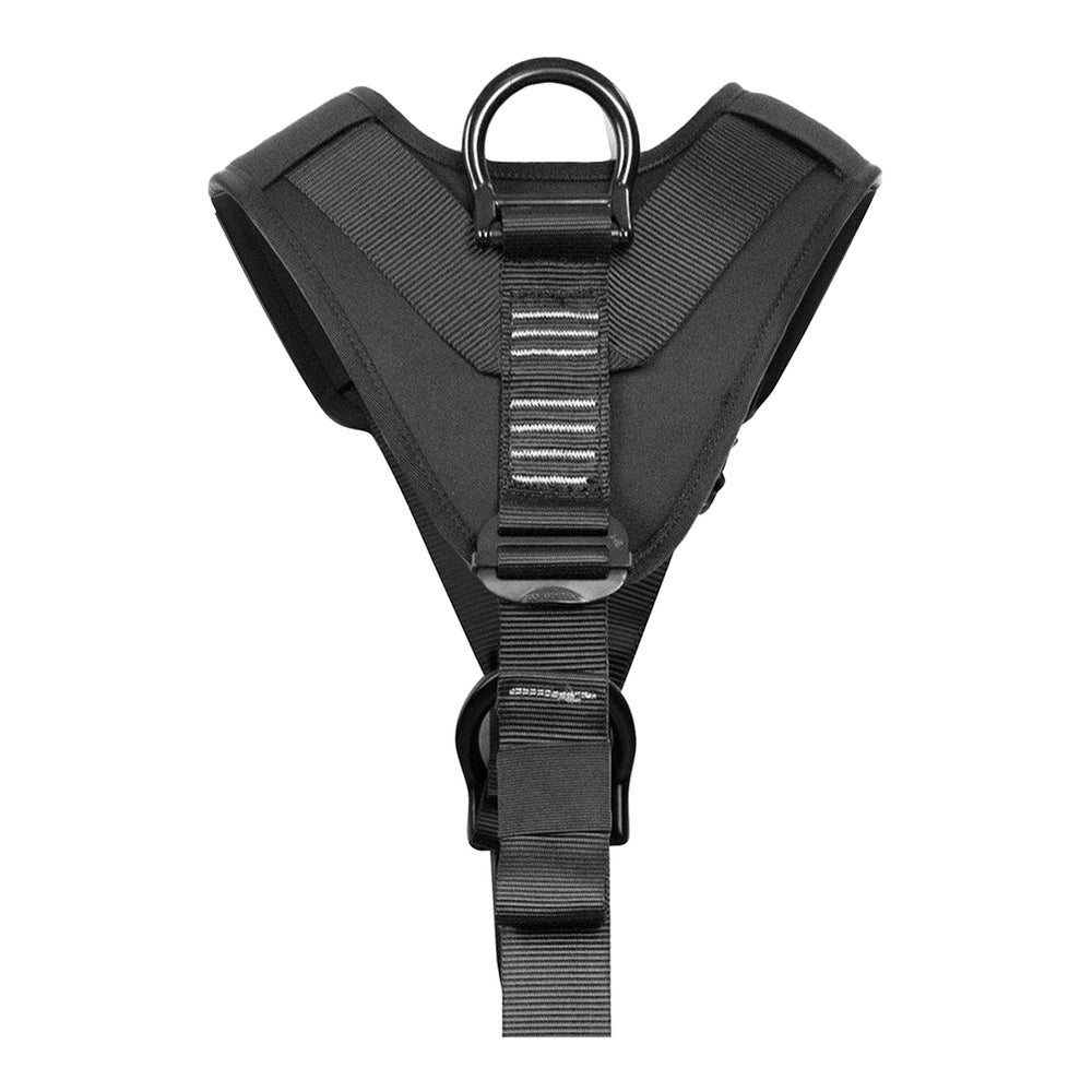 Fusion Climb Spartacus EVA padded harness back view showing shoulder and back padding for all-day comfort.