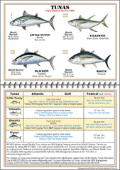 Waterproof, tear-resistant spiral-bound fishing guide