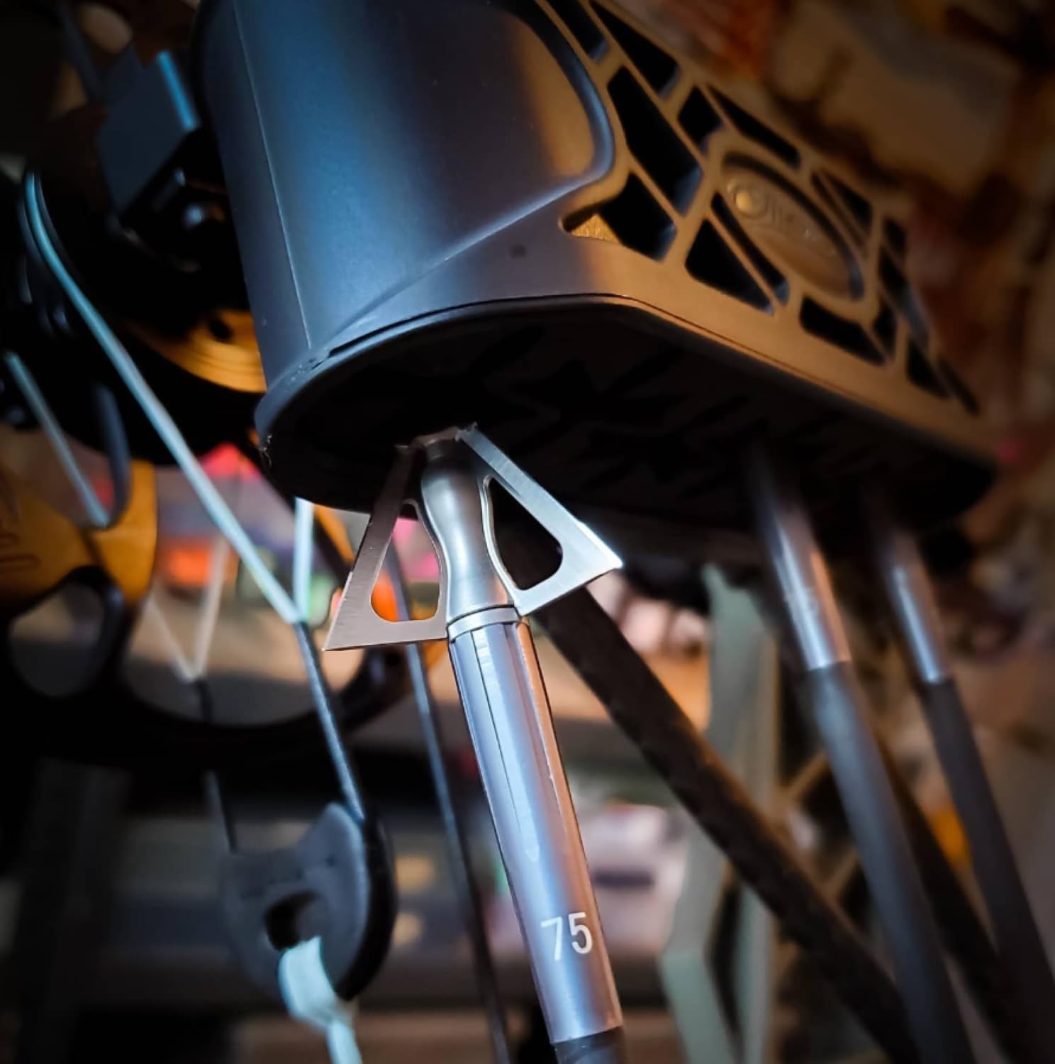 G5 Striker V2 supports 100 and 125 grain options for bow setup flexibility.