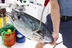 GAFFER SPORTFISHING foam grips provide non-slip ergonomic control