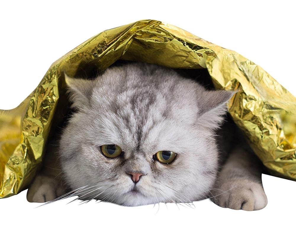 GALAXYLENSE blanket included in survival kits for ready warmth