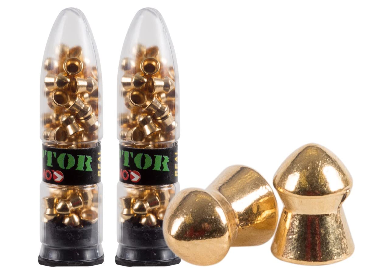 Gamo Raptor PBA .177 cal round-nose pellets in a 100-count box for target practice.