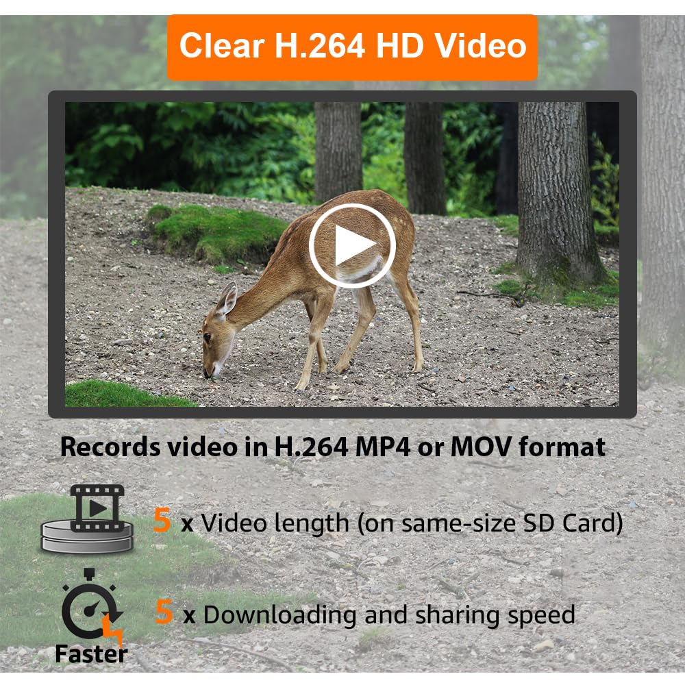 GardePro A3S 64MP image capture with vivid detail.
