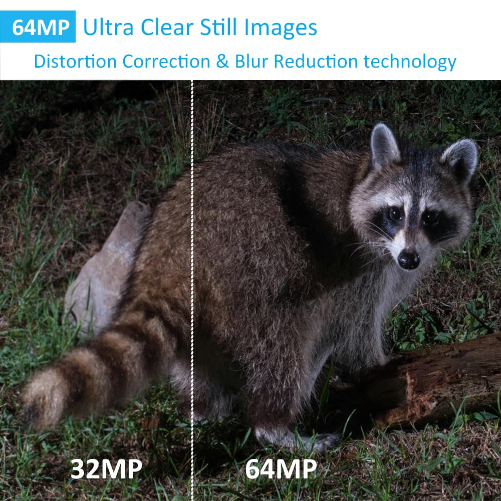 GardePro A50 64MP stills delivering high-detail wildlife imagery.