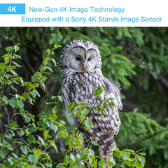 GardePro A50 night vision range up to 100 ft for low-light visibility.