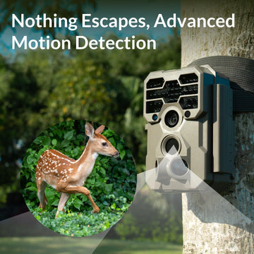 GardePro A60 0.1s trigger with three PIR sensors reduces missed wildlife moments.
