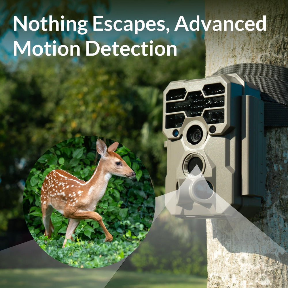 GardePro A60 0.1s trigger with three PIR sensors reduces missed wildlife moments.