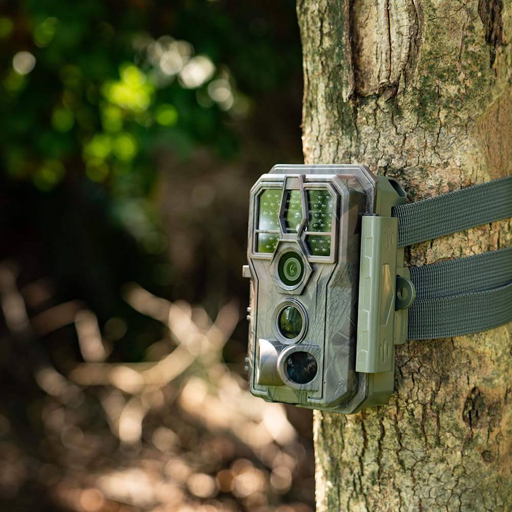 GardePro E5 night vision capture in low light for wildlife monitoring.