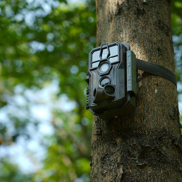 GardePro E5S no-glow night vision clearly shows wildlife at night up to 100ft.