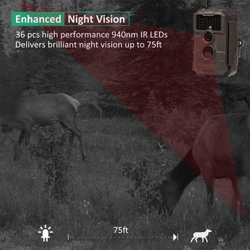 GardePro E6 1296p video records clear daytime and dusk activity.