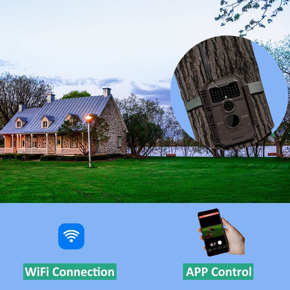 GardePro E6 no-glow night vision demonstrates discreet nighttime wildlife monitoring.