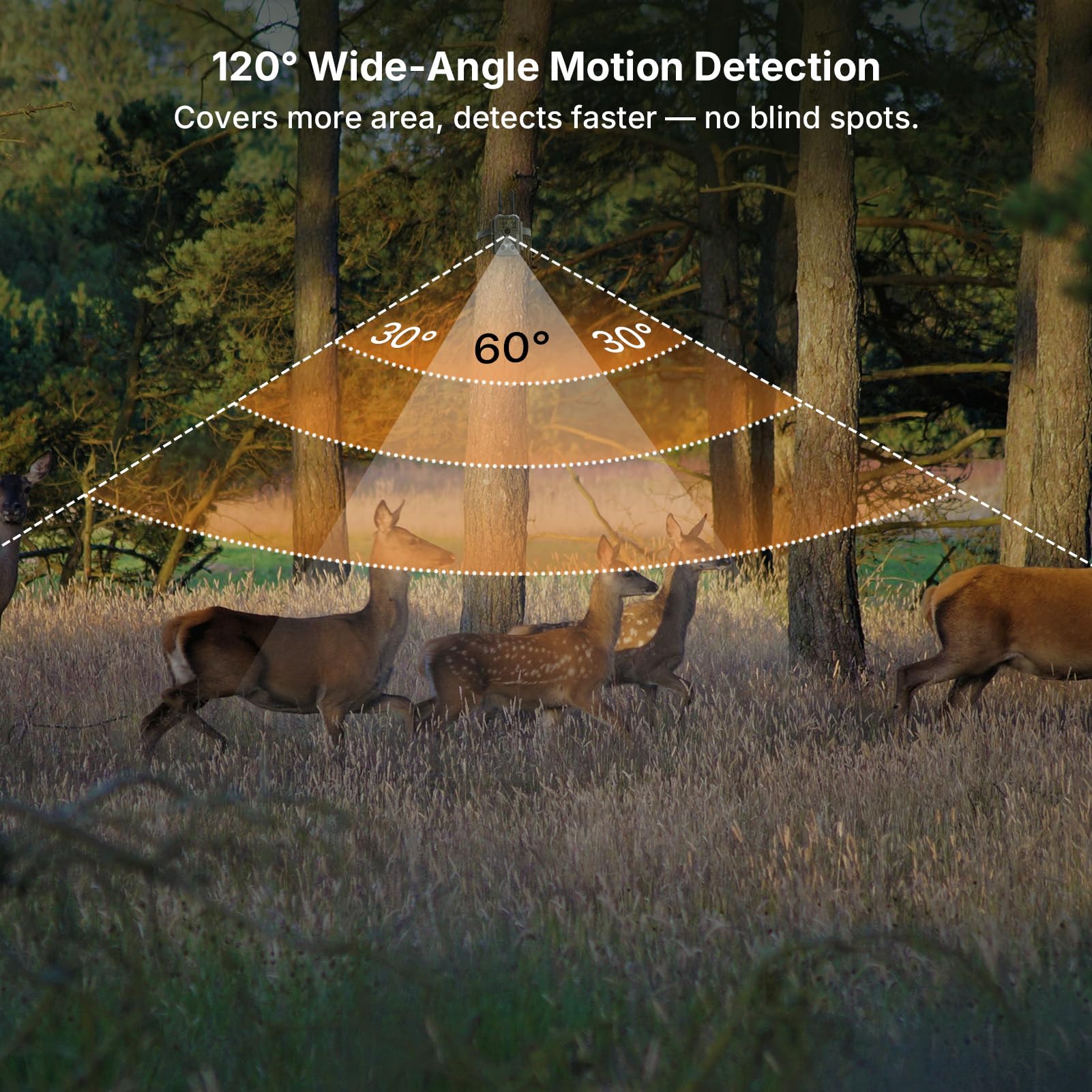 GardePro E8 2.0 Pro 0.1s trigger captures fast action.