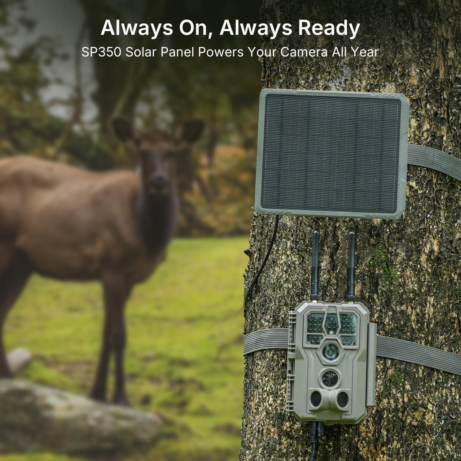 GardePro E8 2.0 mounted outdoors for discreet wildlife capture.