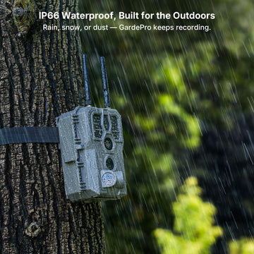 GardePro E8 2.0 4K/64MP sample highlights ultra-sharp wildlife detail.