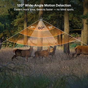 GardePro E8 2.0 night vision image with no-glow infrared for discreet footage.
