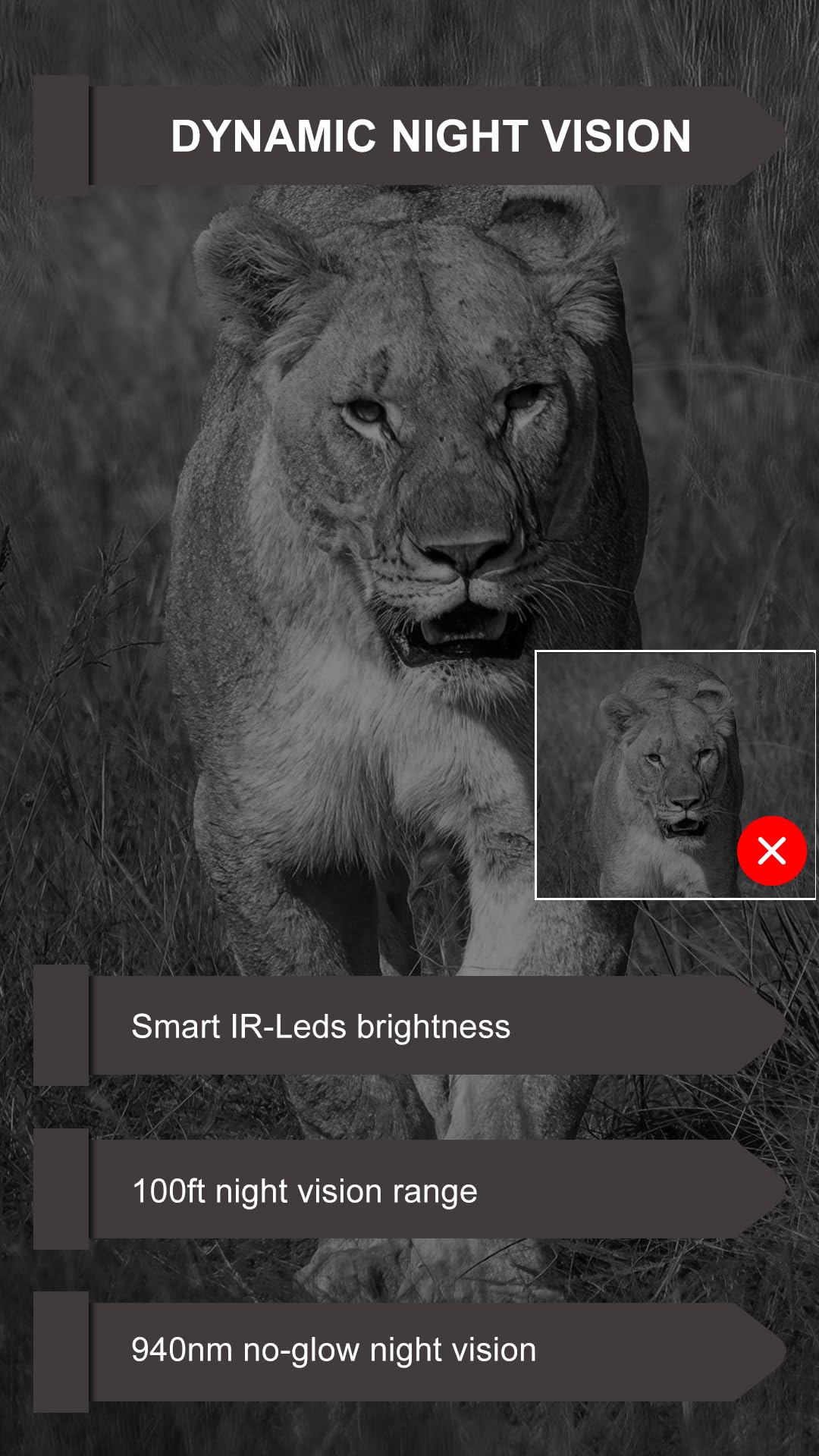 GardePro E8PMB 64MP starlight image capture for sharp detail.