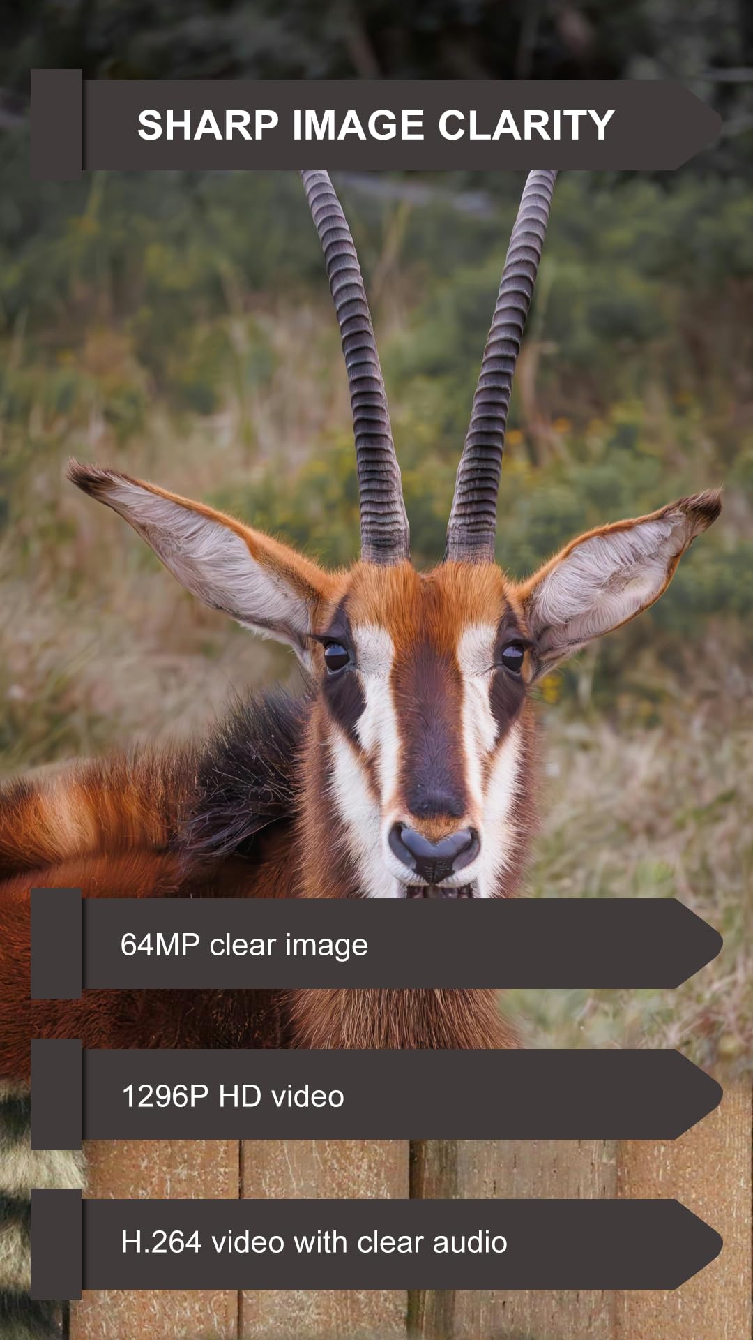 GardePro E8PMB built-in 32GB storage secures all captures.