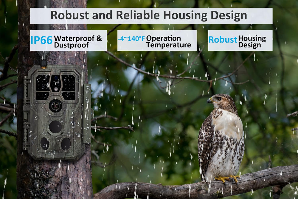GardePro X50S full video preview shows quick decision making.