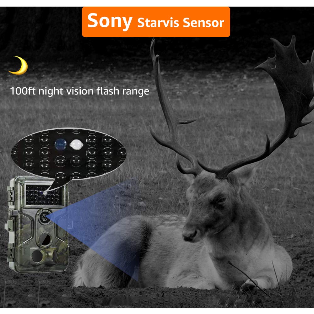 GardePro A3S night vision image shows crisp no-glow illumination up to 100 feet.