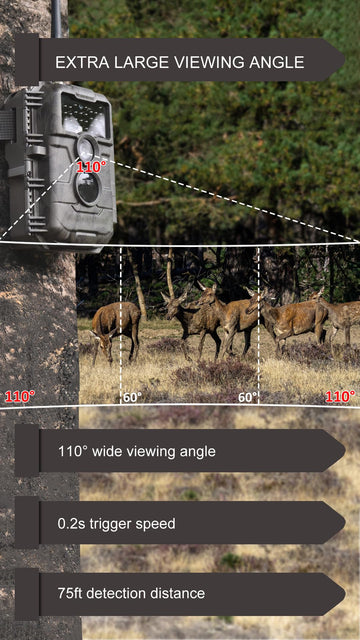 GardePro E6P Max 1296p video delivers detailed trail footage