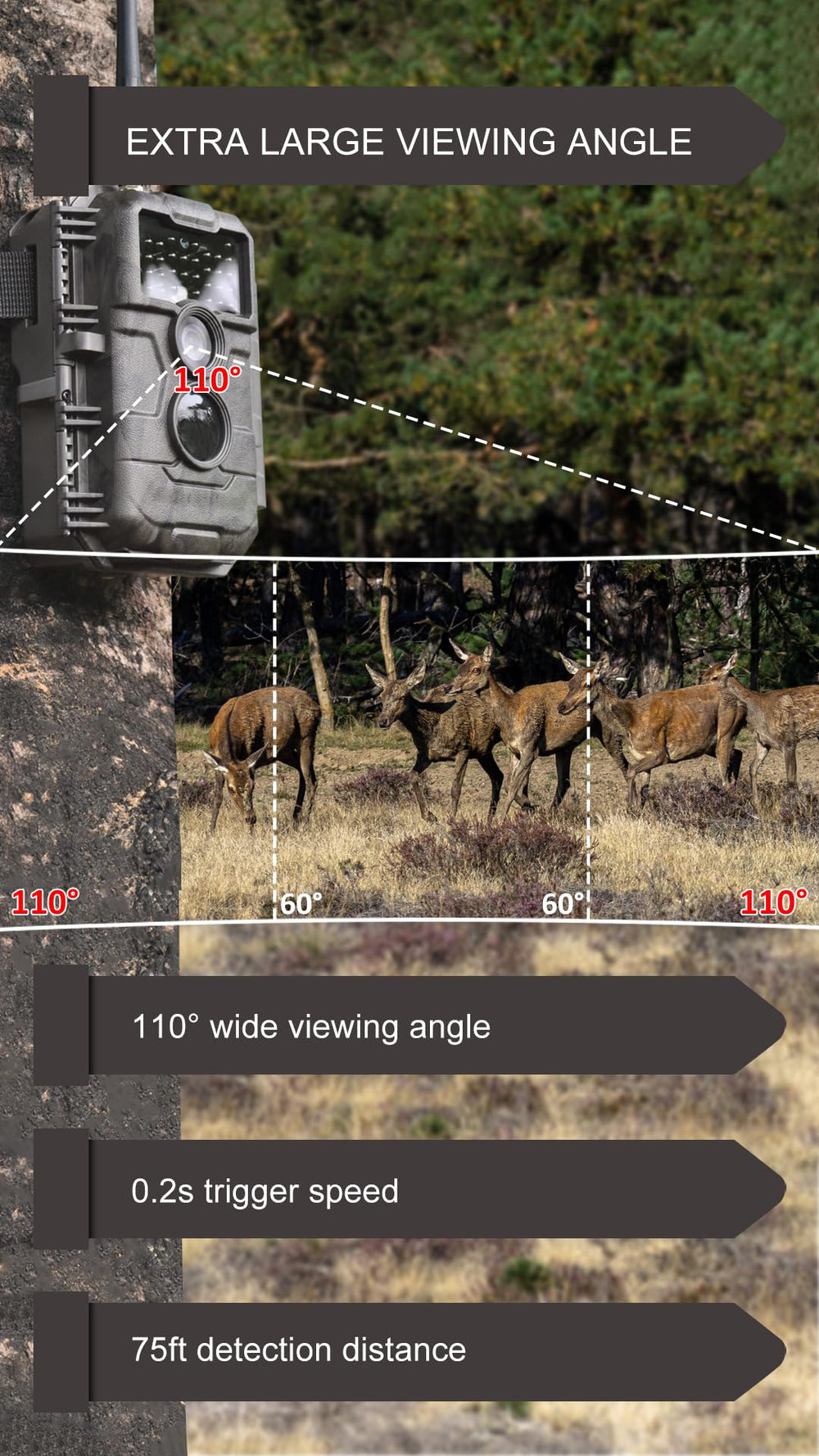 GardePro E6P Max 1296p video delivers detailed trail footage