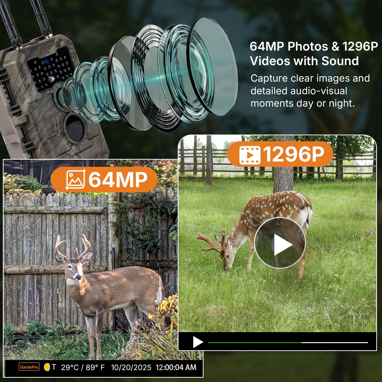 GardePro E6+ records 1296P video with clear motion at dawn or dusk.